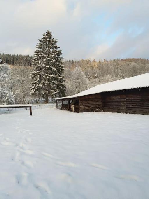 Charmante Maison De Caractere A 2Km De Redu Libin Zewnętrze zdjęcie